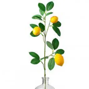 30" Lemon Spray 62813SP30