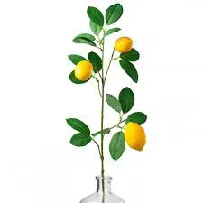30" Lemon Spray 62813SP30