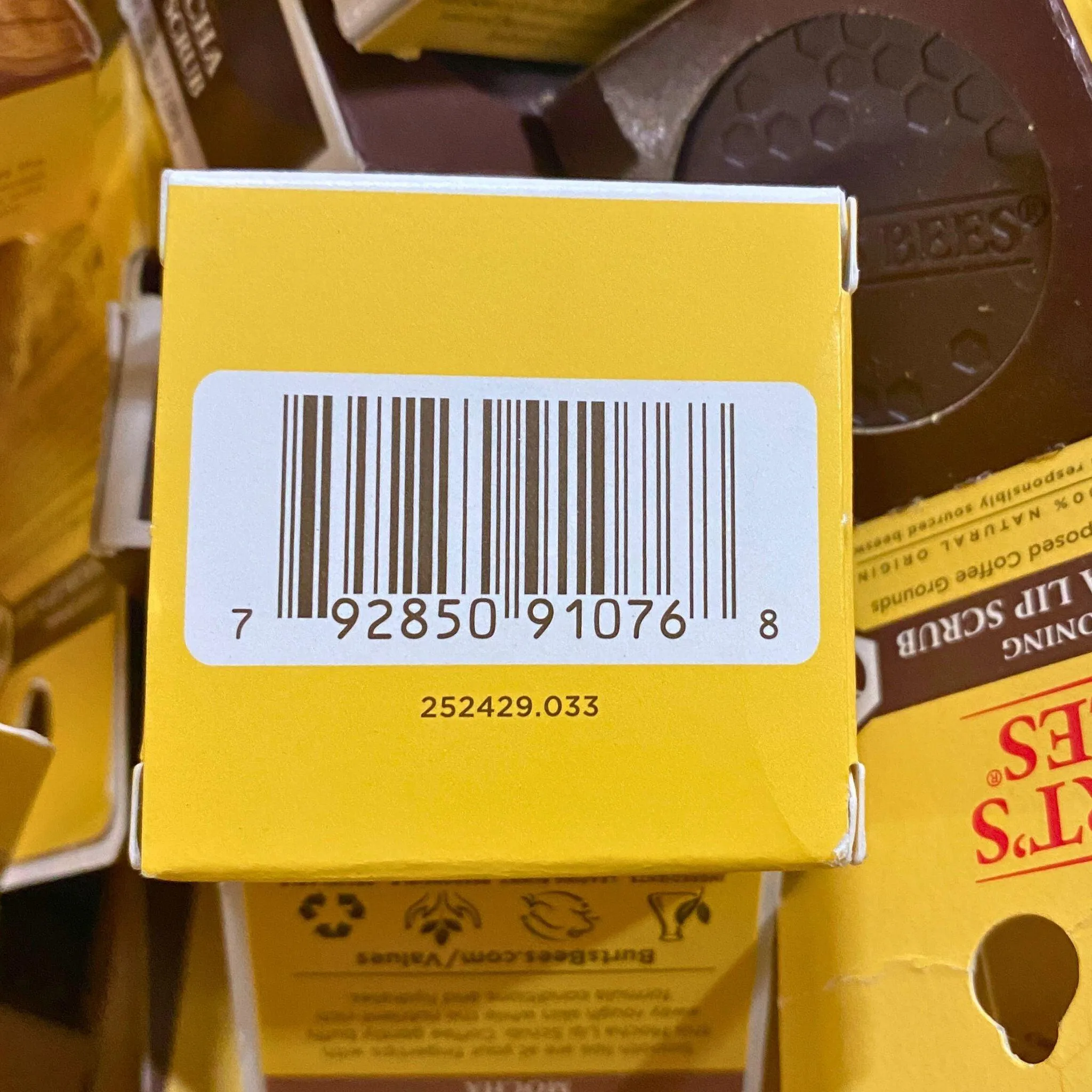 Burt's Bees Conditioning Lip Scrub Mocha (100 Pcs Lot)
