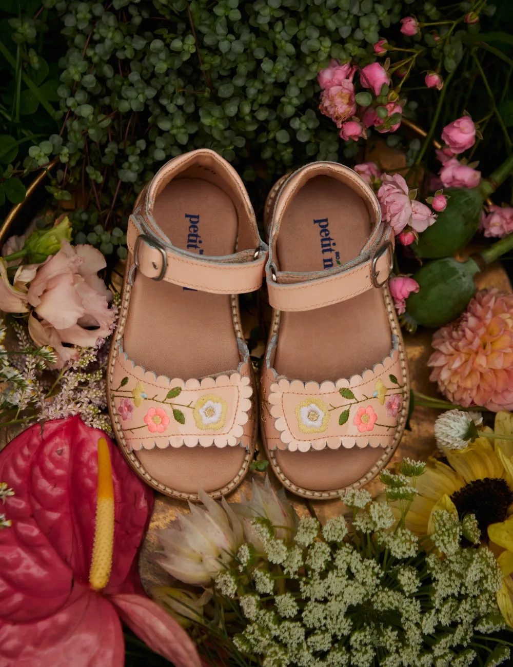 Flower Pop Scallop Velcro Sandal - Blush