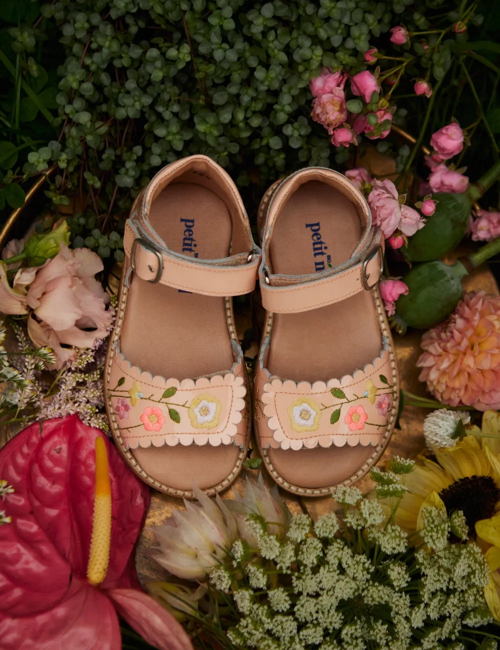 Flower Pop Scallop Velcro Sandal - Blush