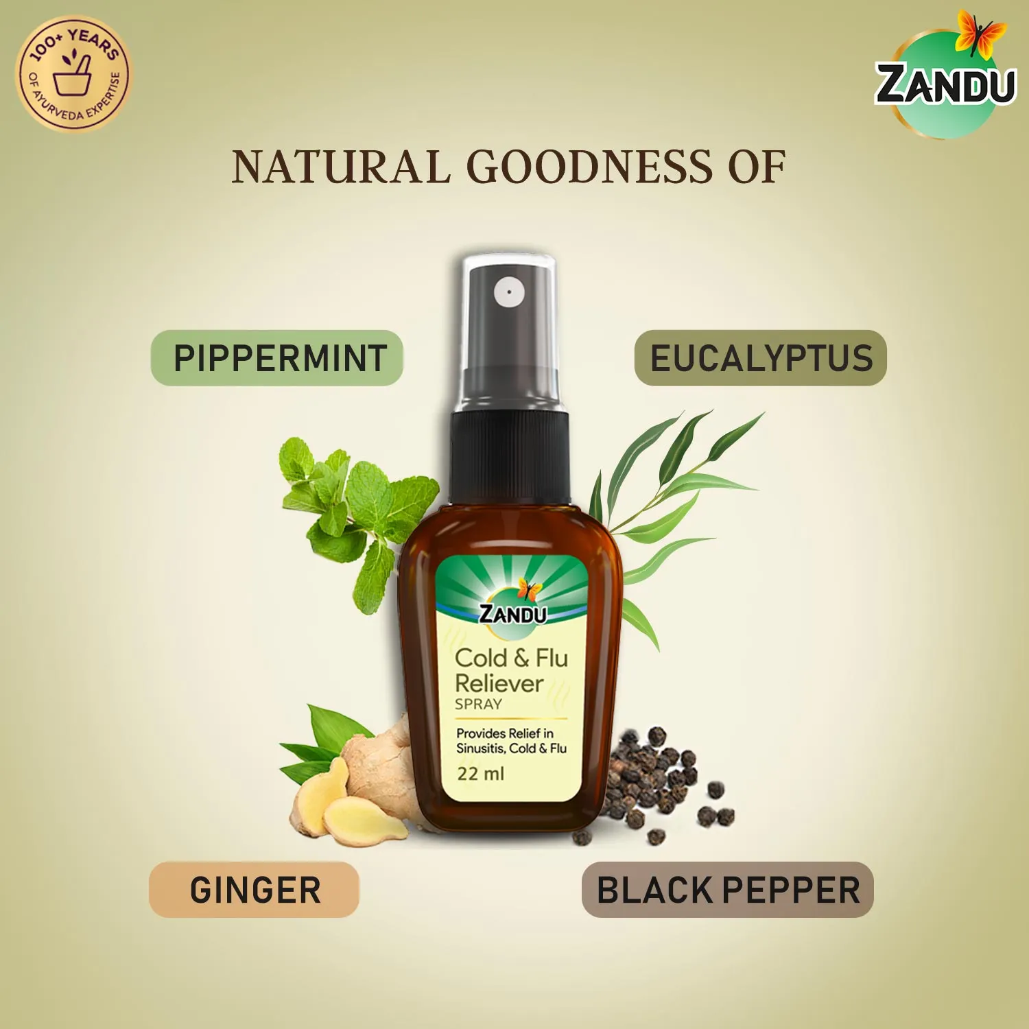 Zandu Cold & Flu Nasal Reliever Spray for Cold, Sinus & Allergies (22ml)