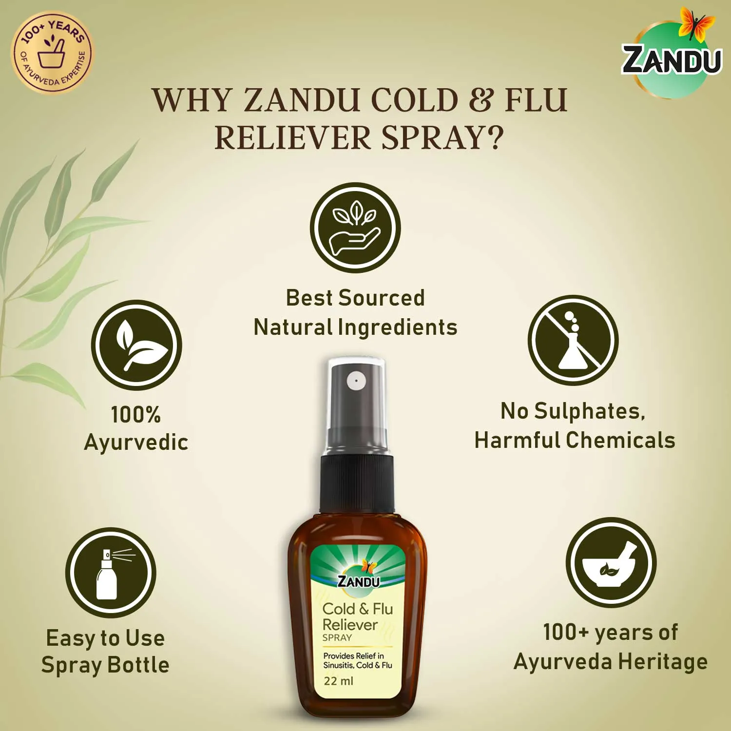 Zandu Cold & Flu Nasal Reliever Spray for Cold, Sinus & Allergies (22ml)