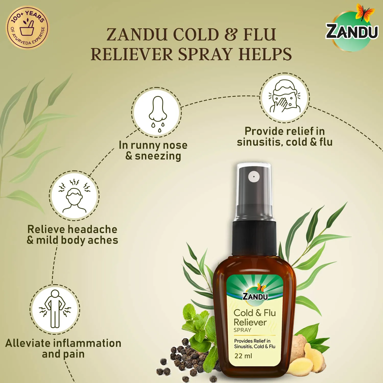 Zandu Cold & Flu Nasal Reliever Spray for Cold, Sinus & Allergies (22ml)